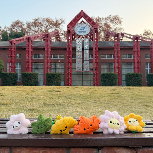 华科大毛绒植物挂件 商品图0