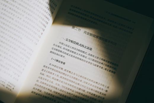 《侵权损害：赔偿原理与规范技术》赠讲座 商品图4