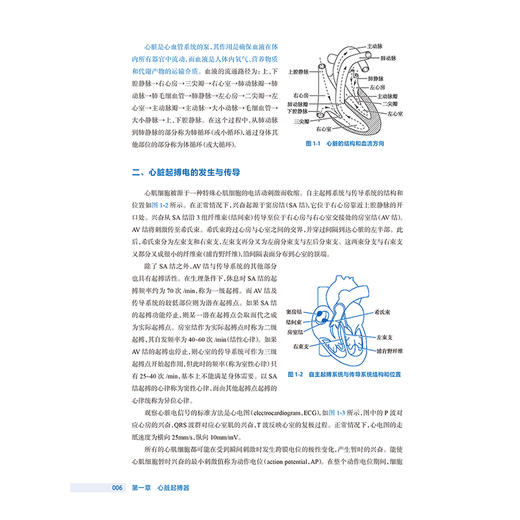 医用治疗设备 第3三版 十四五规划教材全国高等职业教育医疗器械类专业第三轮规划教材 向阳 供医疗器械类专业用人民卫生出版社 商品图4