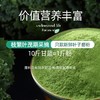 【福东海】羽衣甘蓝粉80克（5克×16条） 商品缩略图6