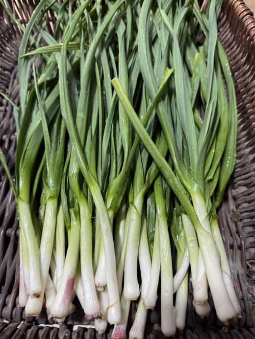 大蒜叶(200g) 商品图0