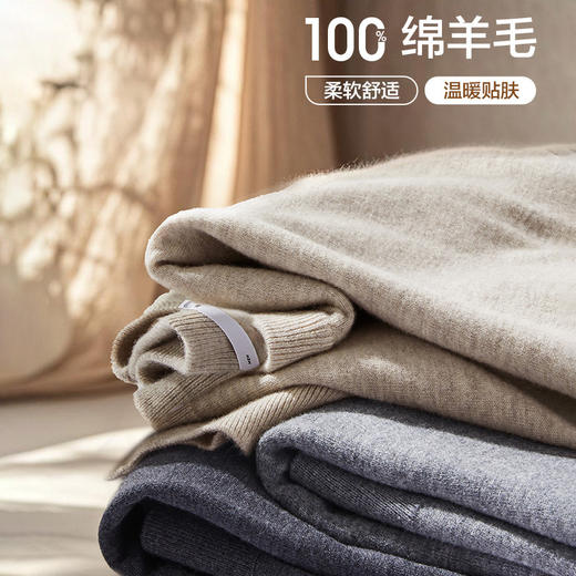 红览 男士轻商务纯羊毛长袖针织衫HNZAW3J026A 商品图1