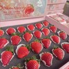 【🍓丹东红颜九九草莓🍓】  精挑细选9甜1酸 乒乓球一样大的草莓 商品缩略图4