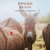 【福东海-DD】经典阿胶制品125克/盒 商品缩略图3