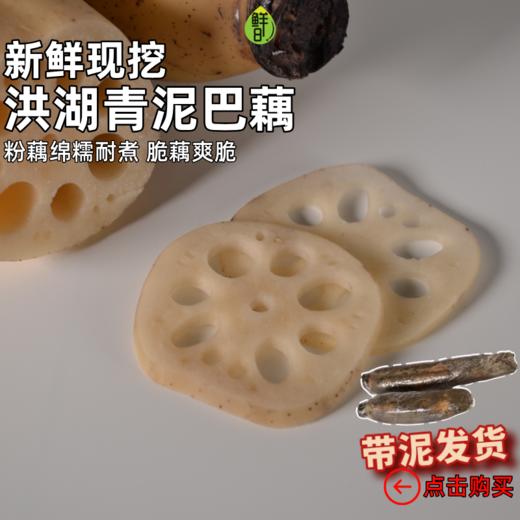 限时团|新鲜现挖-地道的洪湖青泥巴藕，粉糯耐煮适合煲汤【京东物流;5天内发货 急件慎拍】 商品图0