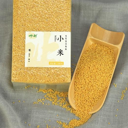 【妙耕自种】生态黄小米自然农法种植 商品图4
