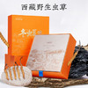 北京同仁堂冬虫夏草虫草精选4条1克10克礼盒 商品缩略图4