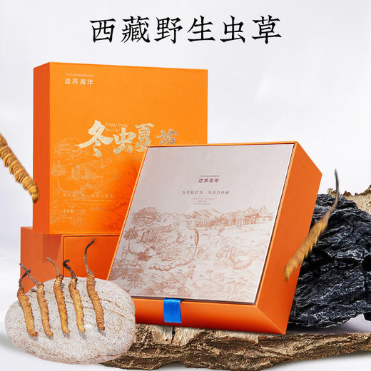 北京同仁堂冬虫夏草虫草精选4条1克10克礼盒 商品图4