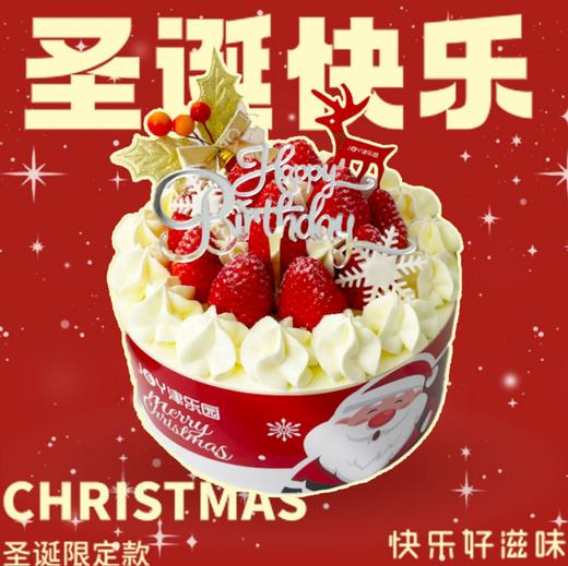 圣情以待 商品图0