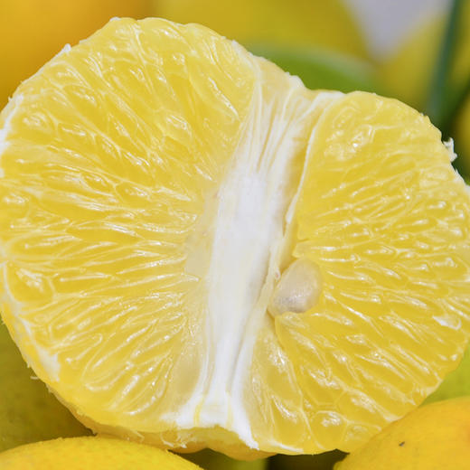 【京东包邮】广东德庆贡柑 脆嫩少渣 4.8斤中果/大果/32枚大果彩箱装 商品图2