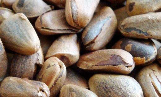 25 年顶流来袭||【二象限】东北红松子顶配 野生不添加 吃的就是原汁原味～ 商品图3