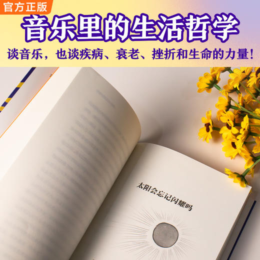 太阳会忘记闪耀吗 伟大的音乐有伟大的治愈力 余华新书 散杂文 商品图4