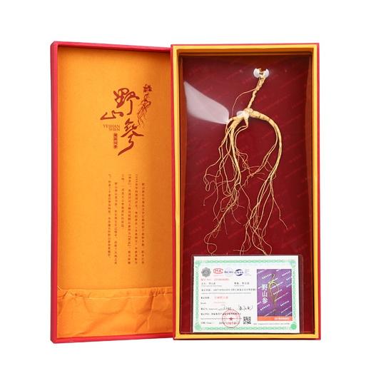 胡庆余堂 野山参二等四级4.8-5.0 商品图3