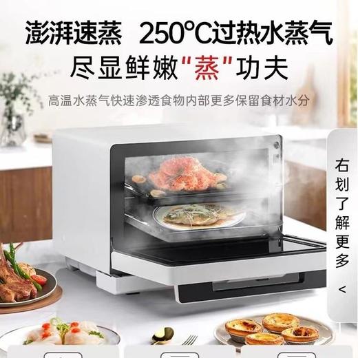 松下DS285 新品万食炉 微蒸烤炸炖一体机 台嵌两用家用烤箱28L 商品图2