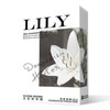 倍力乐LILY6只/M码*4盒 商品缩略图0
