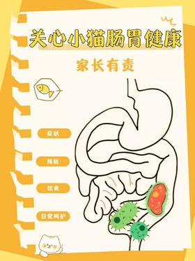 小猫总吐黄水、拉稀？猫咪肠胃健康的守护指南请收好