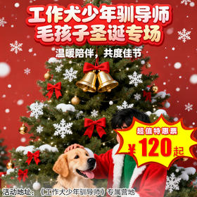 【半日营·12月27日】毛孩子的圣诞专场 ·《工作犬少年驯导师》+ 与圣诞狗亲密互动 + 圣诞礼物 + 功勋犬纪念