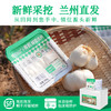 良工尚品兰州有机鲜百合80g 商品缩略图8