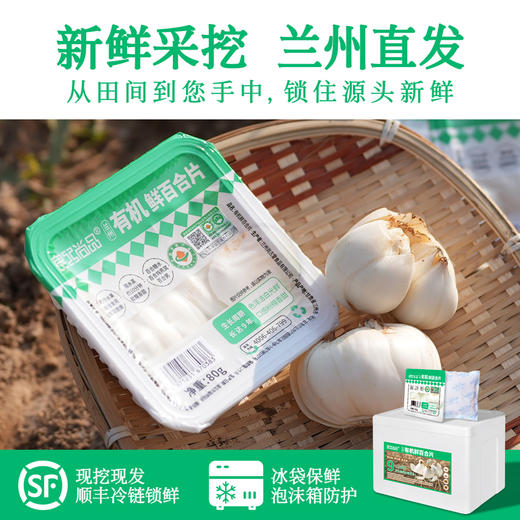良工尚品兰州有机鲜百合80g 商品图8