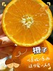 农夫园 赣南脐橙纯甜 【礼盒】 商品缩略图1