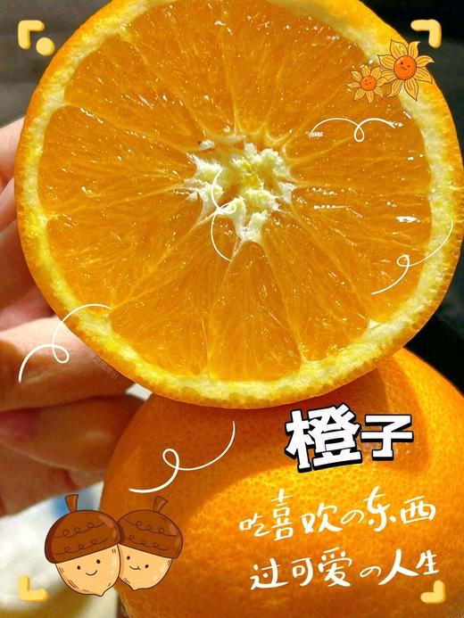 农夫园 赣南脐橙纯甜 【礼盒】 商品图1