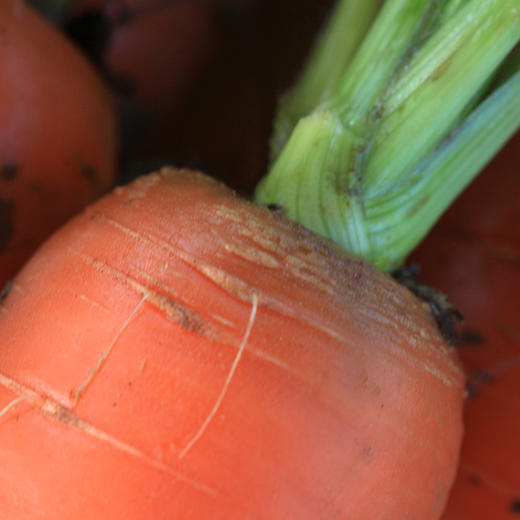 【妙耕自种】有机水果胡萝卜红萝卜有机认证 5斤装 商品图2