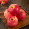 【甄选】瑞香红 三拼苹果 一次吃到多种风味 瑞雪 瑞香红 红富士  顺丰包邮 口感清脆 甜度高 清爽多汁 果味浓郁 商品缩略图7
