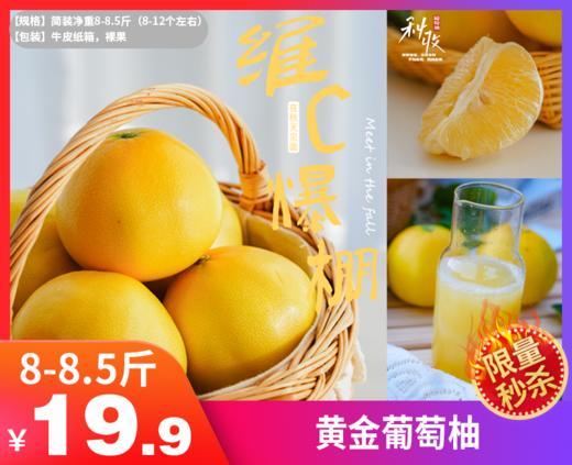 【黄金葡萄柚】秋冬的深水炸弹、福建葡萄柚 玲珑小巧· 可以徒手榨汁的柚子  皮薄肉厚 · 沁人心脾 · 甜而不腻 · 入口化渣 -XNYKC 商品图0