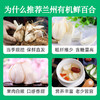 良工尚品兰州有机鲜百合80g 商品缩略图5