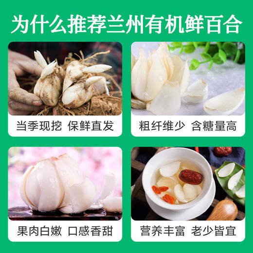 良工尚品兰州有机鲜百合80g 商品图5