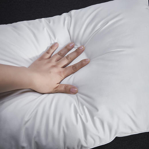 红豆/HONGDOU星级酒店枕48*74cm*2  HD-Z230402 商品图3