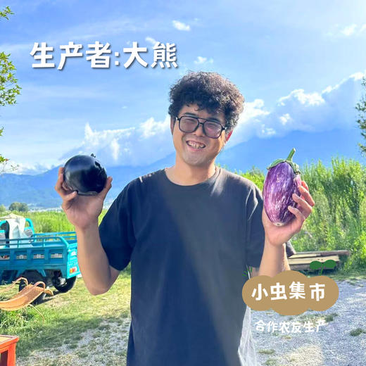 大理生态露天水果甘蓝（包菜）| 合作农友生产，来自云南大理，生产者：大熊 *【公平贸易农人定价】 商品图3
