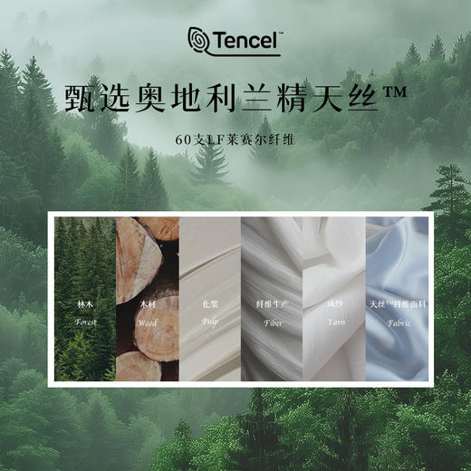 CASUCA Palermo巴勒莫天丝棉磨毛四件套床单款【该商品不支持用券】 商品图1