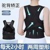 【三维拉伸！两周塑形】驼背矫正器 隐形弹力 四季通用款男女生背部矫姿带 开肩直背 成人 学生贝贝佳 商品缩略图1