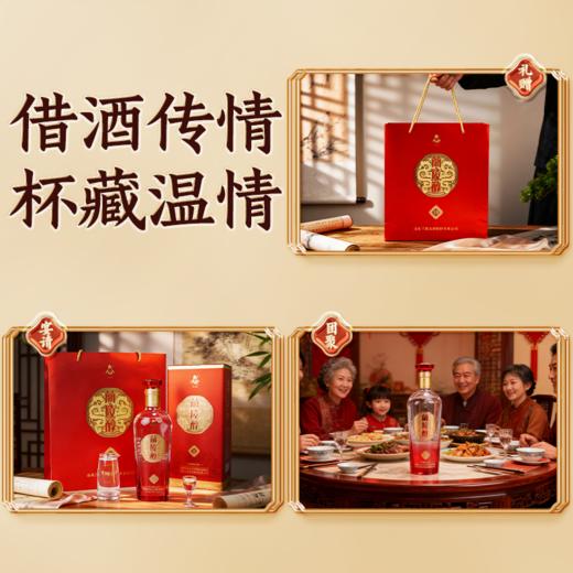 兰陵醇 52度优级浓香型白酒500ml*2瓶 纯粮酿造 商品图3