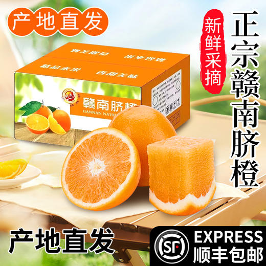 【 杨博士甄选】江西赣南脐橙 新鲜橙子 果园直发 现摘现发 顺丰发货 商品图1