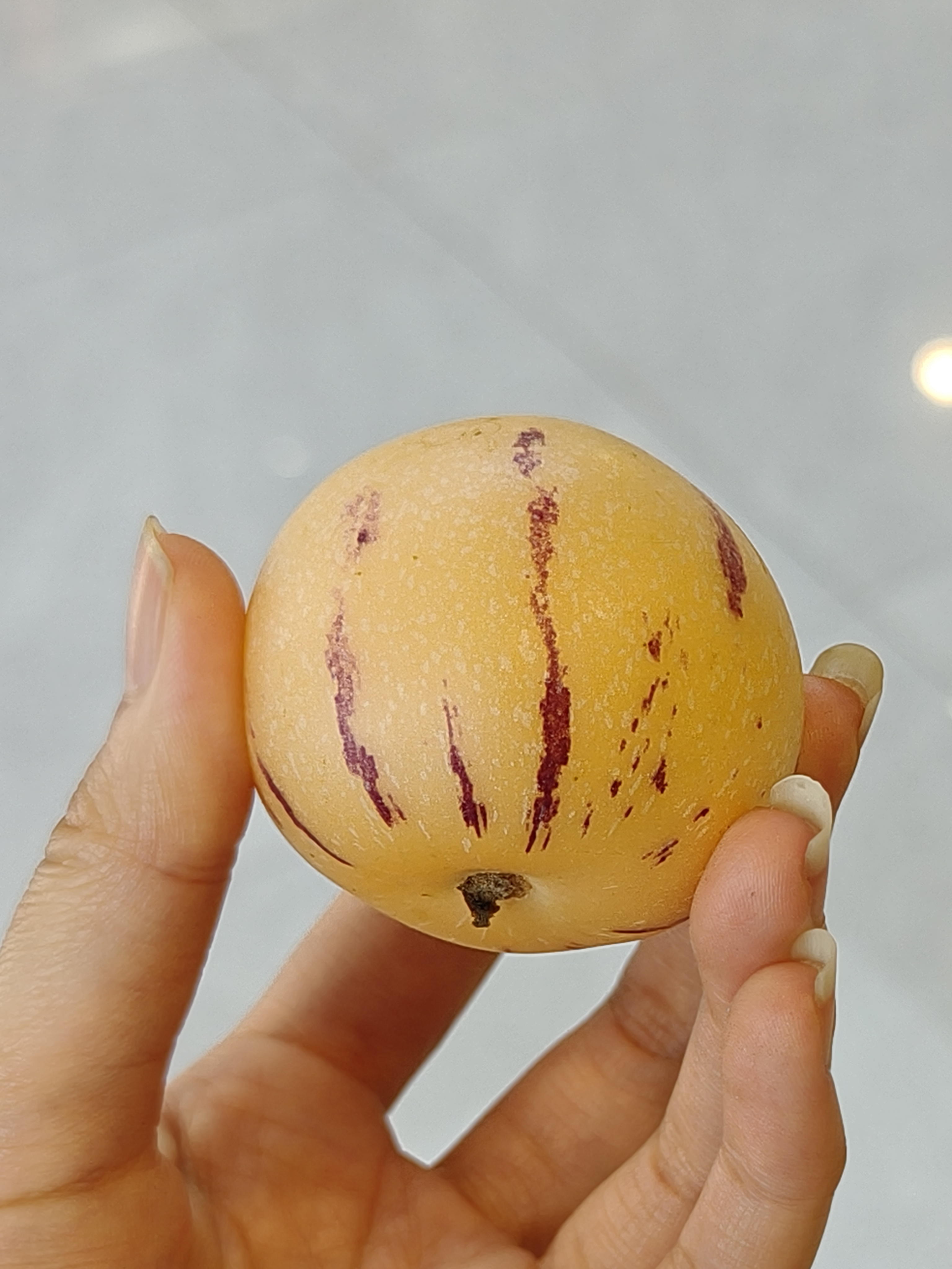 爆汁人参果  一盒装（10个左右）