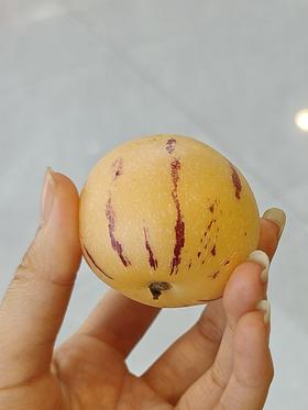 爆汁人参果  一盒装（10个左右）