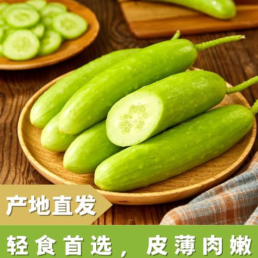 青一口瓜奶油黄瓜|皮薄肉嫩汁水充沛.咬一口清甜多汁【4.4-4.6不发货，7号正常发货】 商品图1