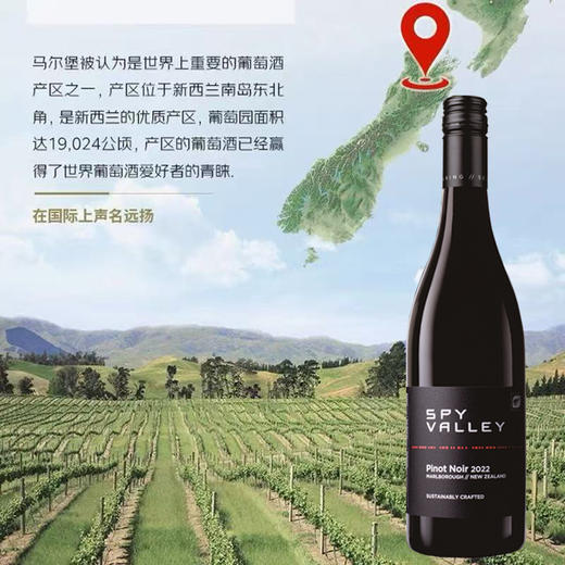 碟谷新西兰马尔堡黑皮诺葡萄酒750ml清新果香口感醇厚 商品图2