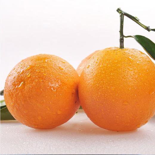 雷波脐橙4粒 900g/份  橙子 商品图3
