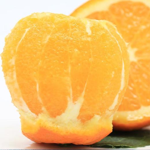 雷波脐橙4粒 900g/份  橙子 商品图2