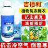吉佰利植物棉衣抗冻剂防寒果树抗寒防冻液树木防冻花卉蔬菜防冻剂包邮 商品缩略图2