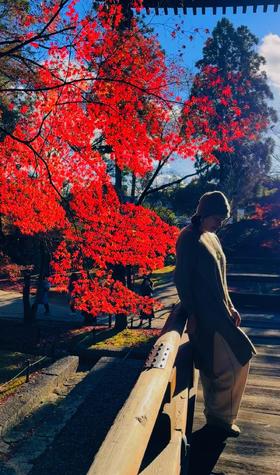 闪照第450期 红火