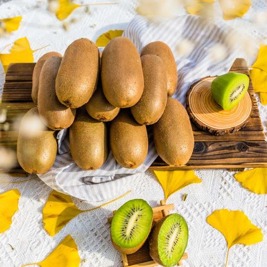 金手指猕猴桃 商品图3