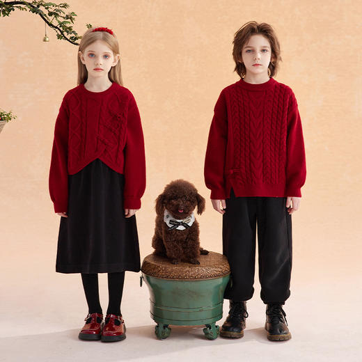 【年服】植木中式氛围感盘扣毛衣连衣裙两件套54L053015 商品图1