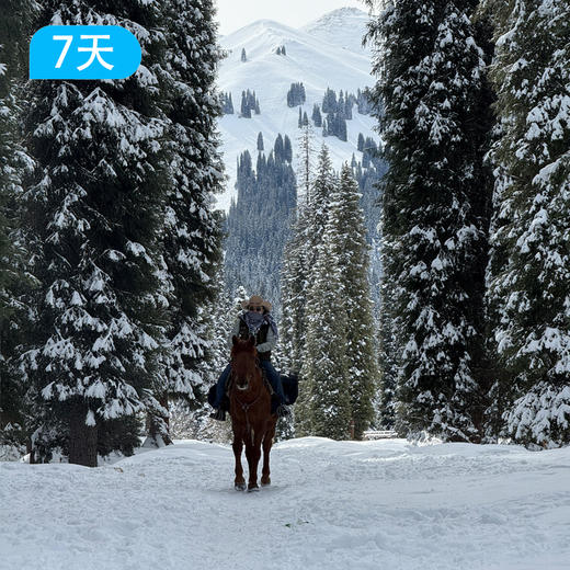 冬季限定，冰火之歌｜骑越天山南北马背旅行7日 商品图1