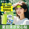 安其生藿香夏暑贴冰凉贴10贴*2袋 商品缩略图3