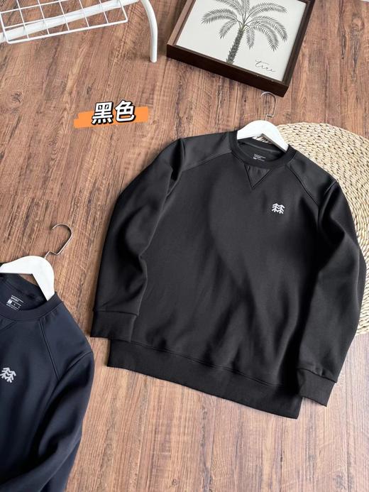 D120827冬季山系复古设计简约休闲百搭男士加绒圆领卫衣 商品图7