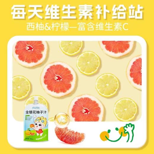 0添加 金银花柚子汁 南园国色品牌 商品图3